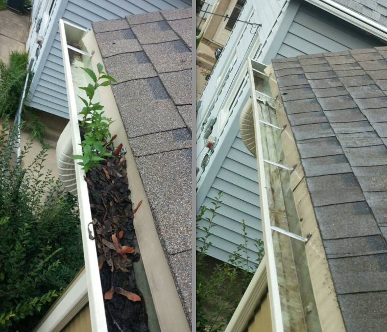 gutter-cleaning-experts